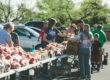 Food bank in a church parking lot